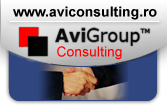 Avi Group Consulting
